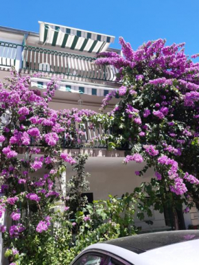 Apartments flower oasis Vodice